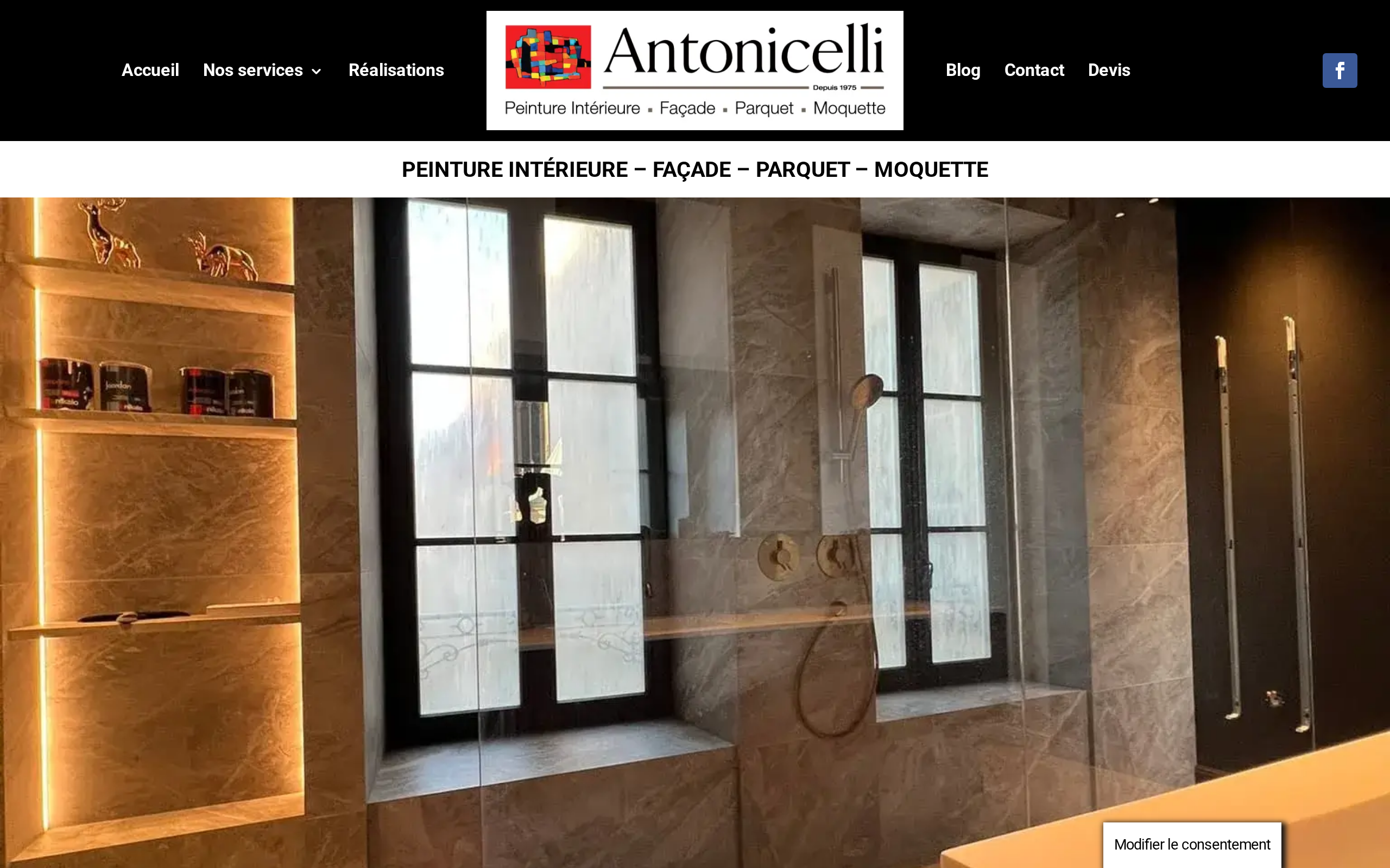 Aperçu du site Antonicelli Peinture