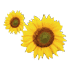 Logo Aux Jardins de Carelle