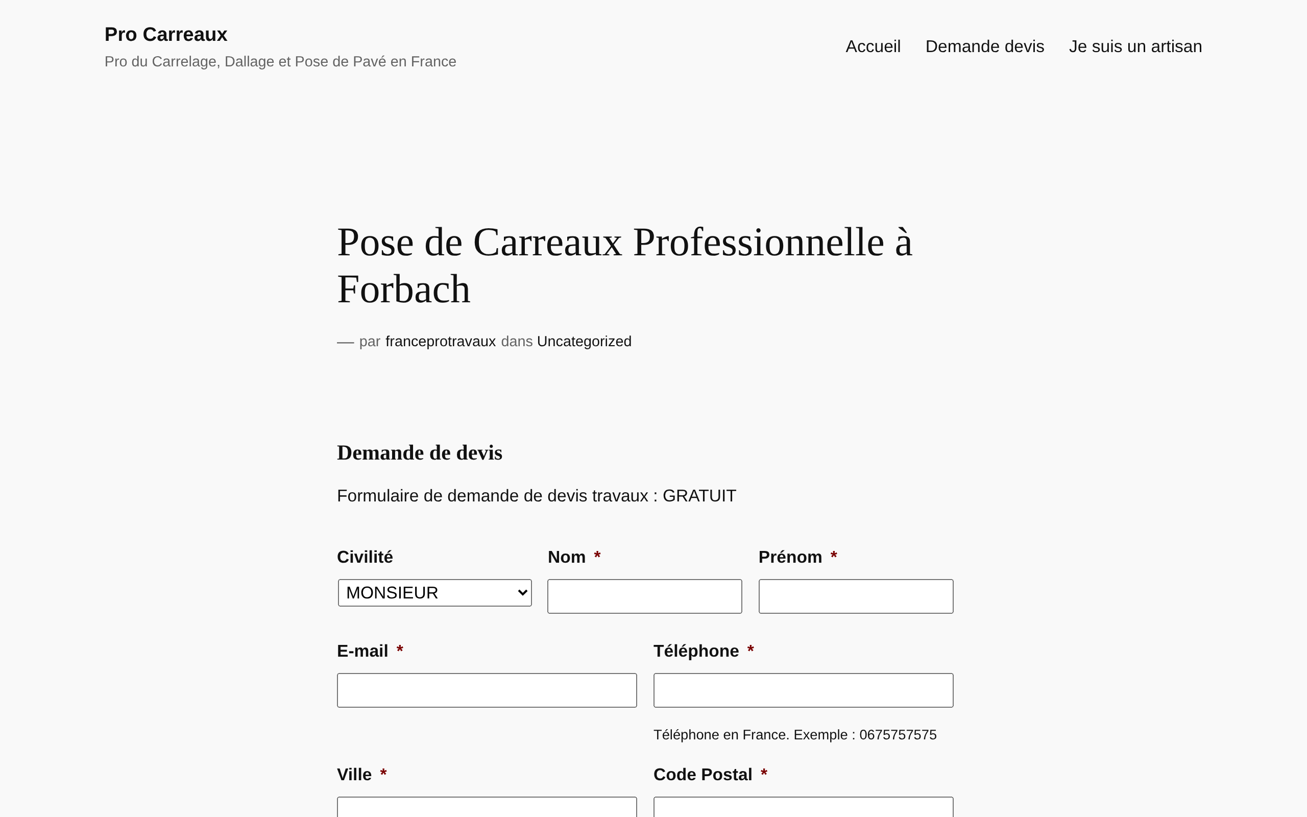 Aperçu du site Pro Carreaux