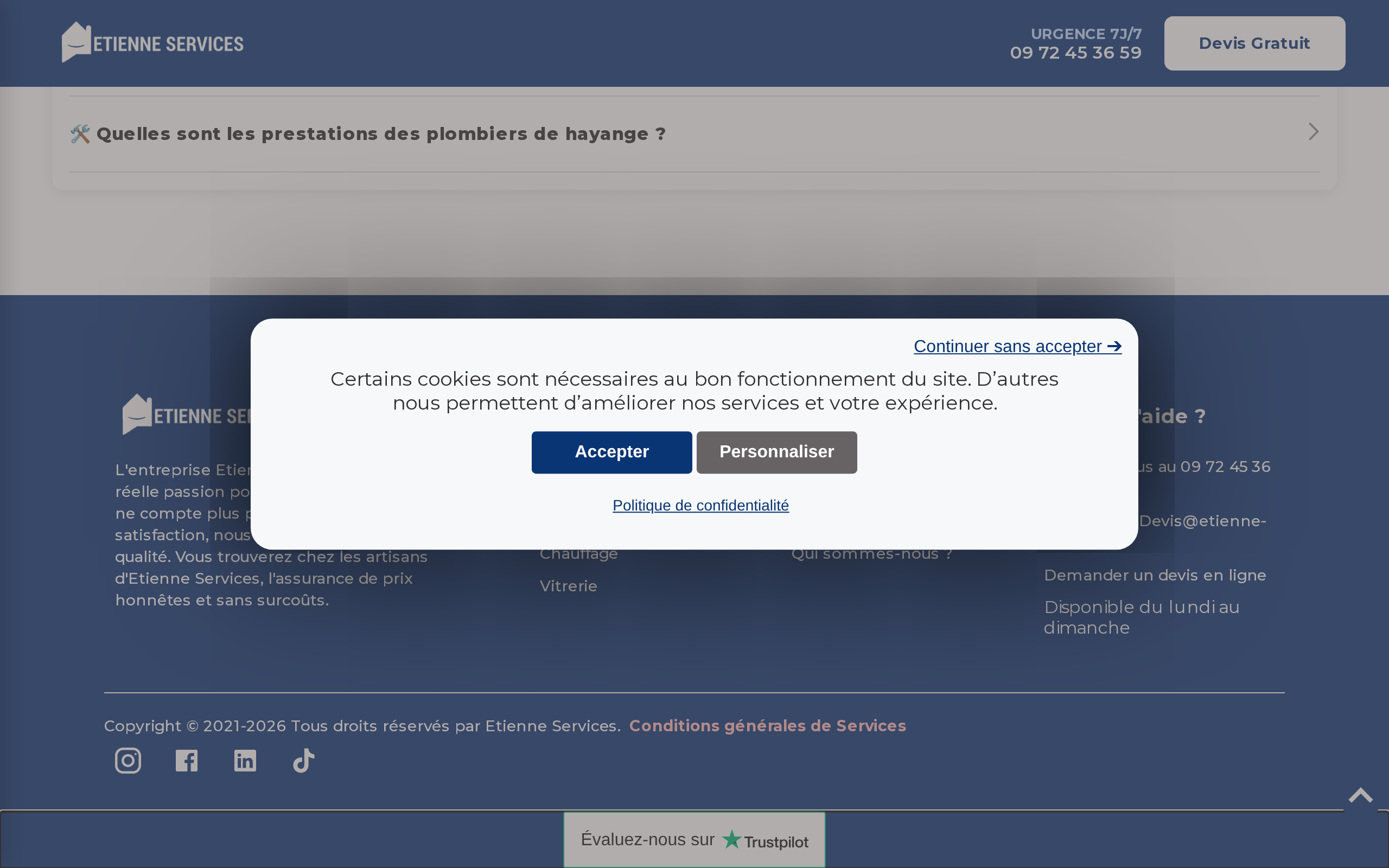 Aperçu du site Etienne Services