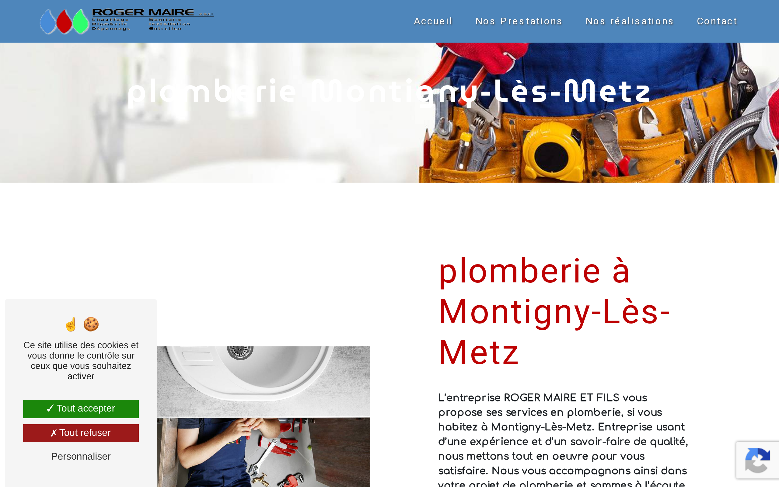 Aperçu du site Roger Maire et Fils