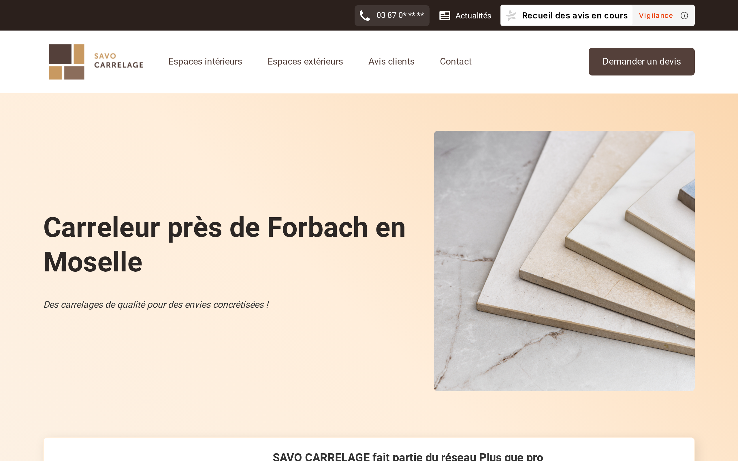 Aperçu du site SAVO CARRELAGE