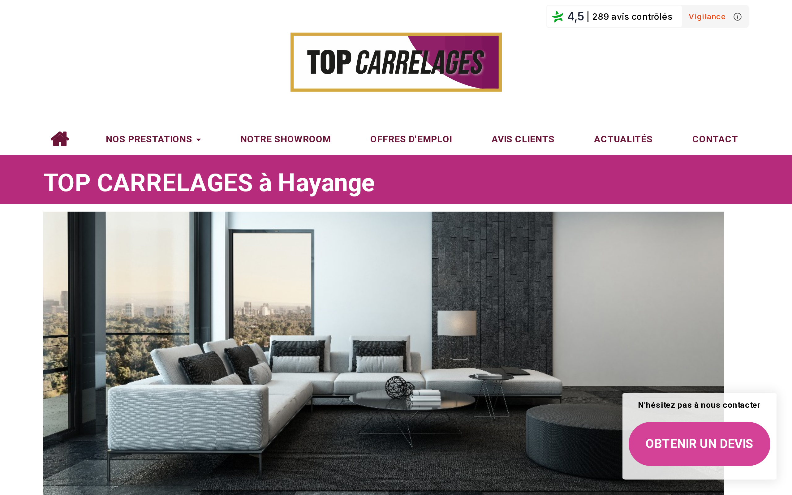 Aperçu du site TOP CARRELAGES