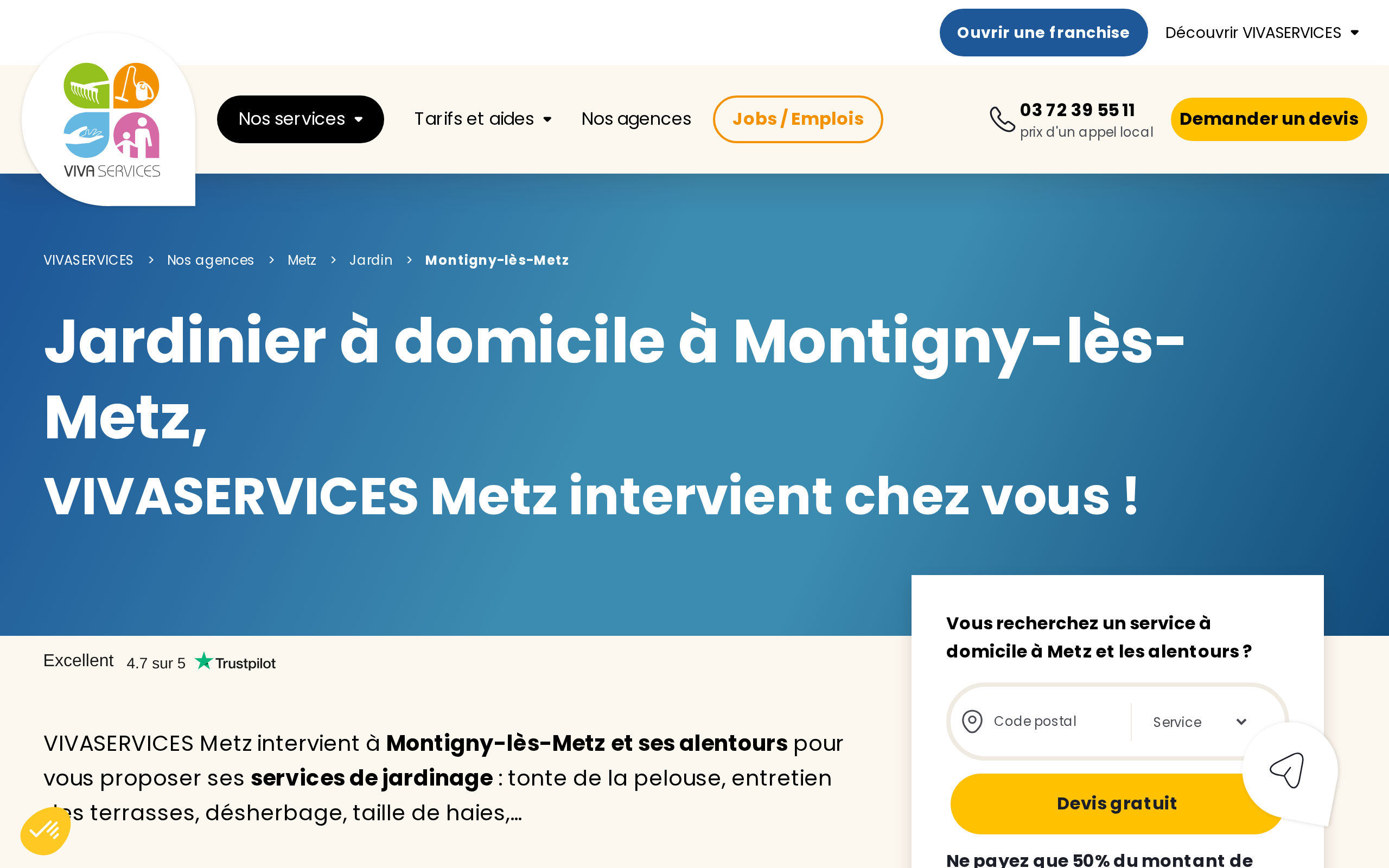 Aperçu du site VIVASERVICES Metz