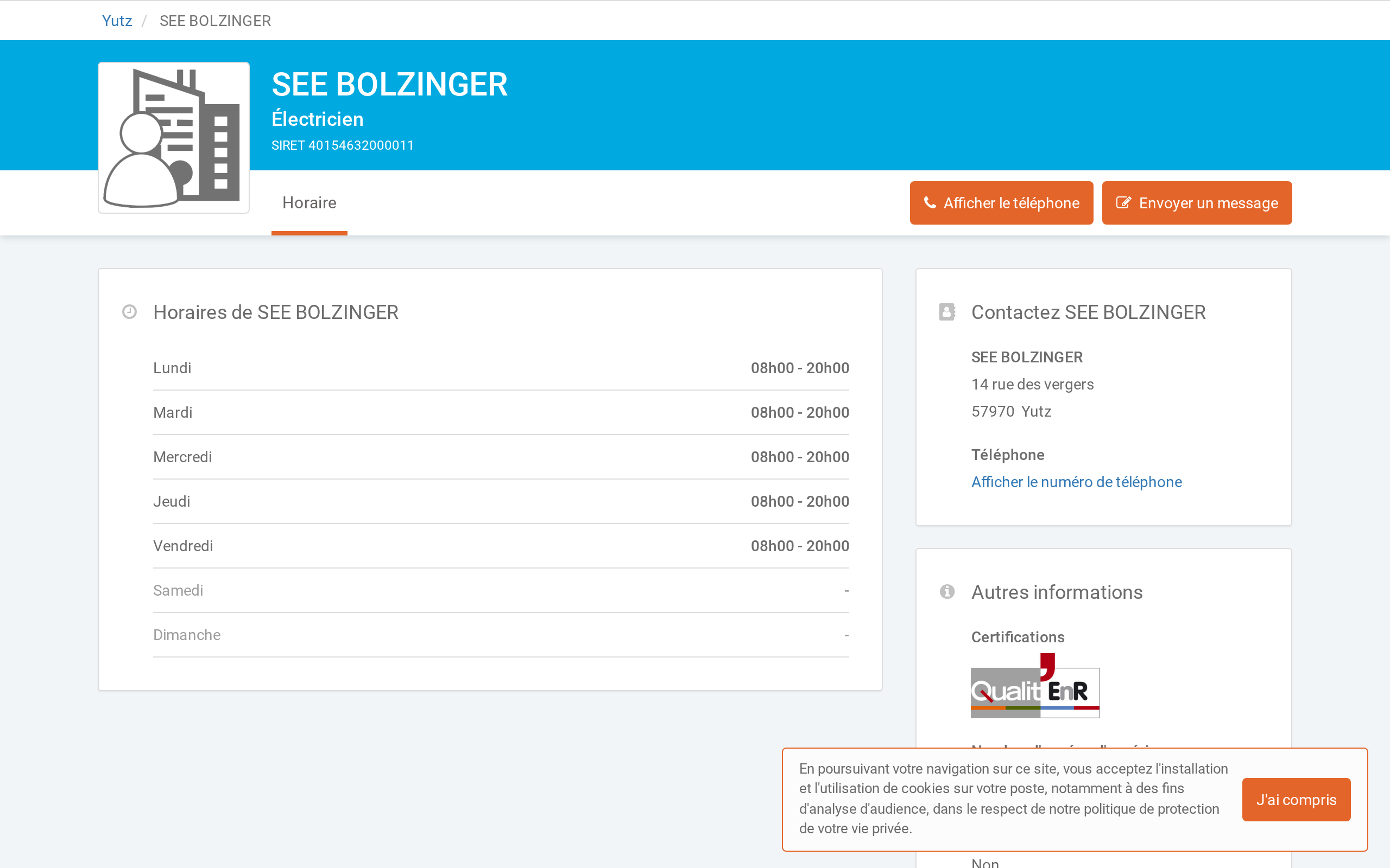 Aperçu du site SEE BOLZINGER