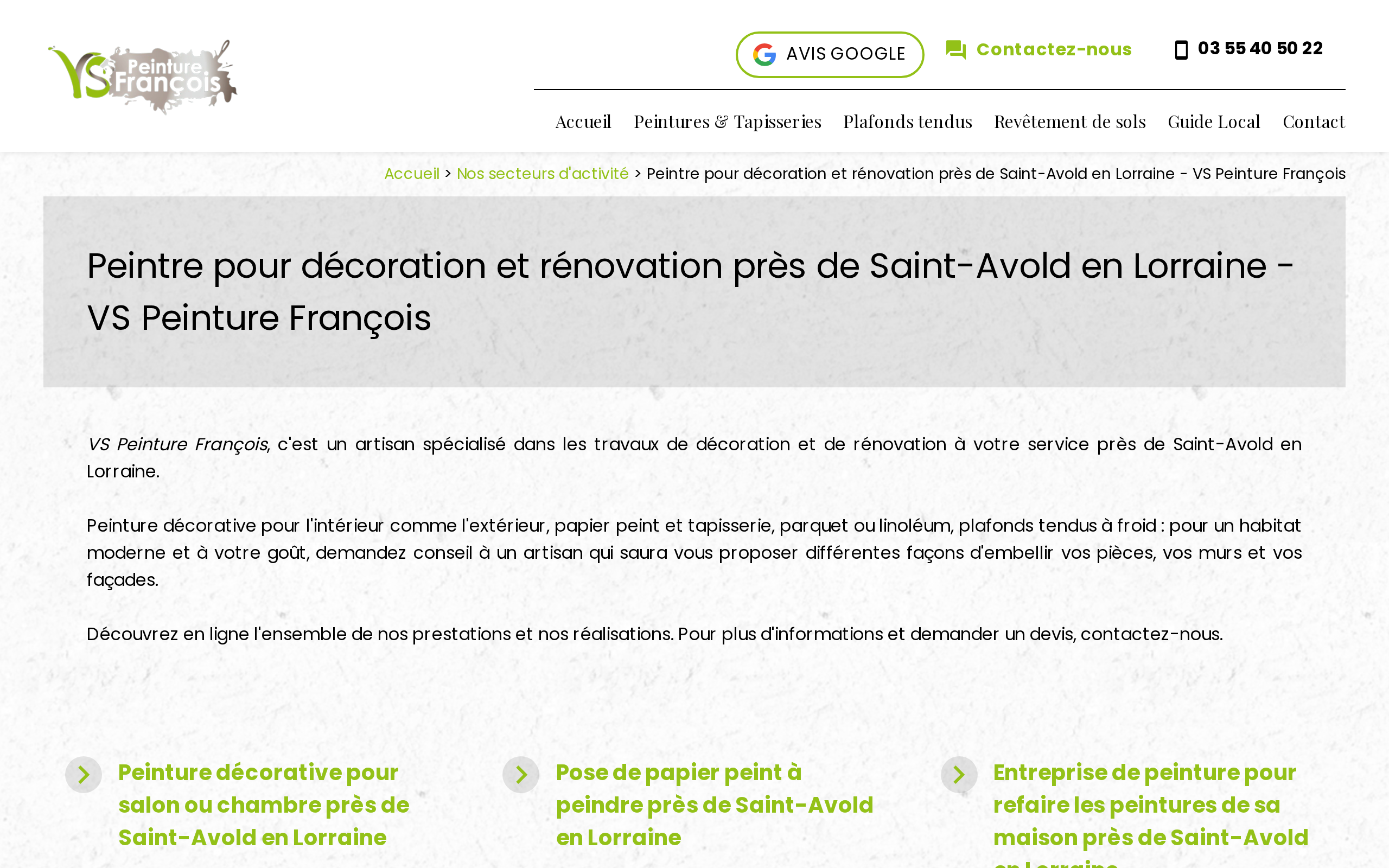 Aperçu du site VS Peinture François
